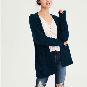 Teal American Eagle Cardigan